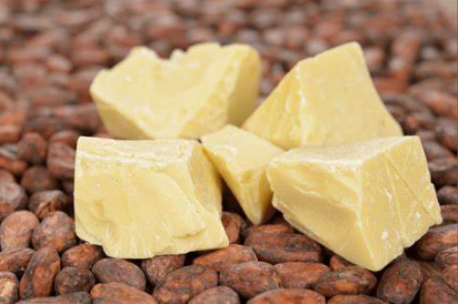 DEODERIZED COCOA OIL cocoa butter in stock