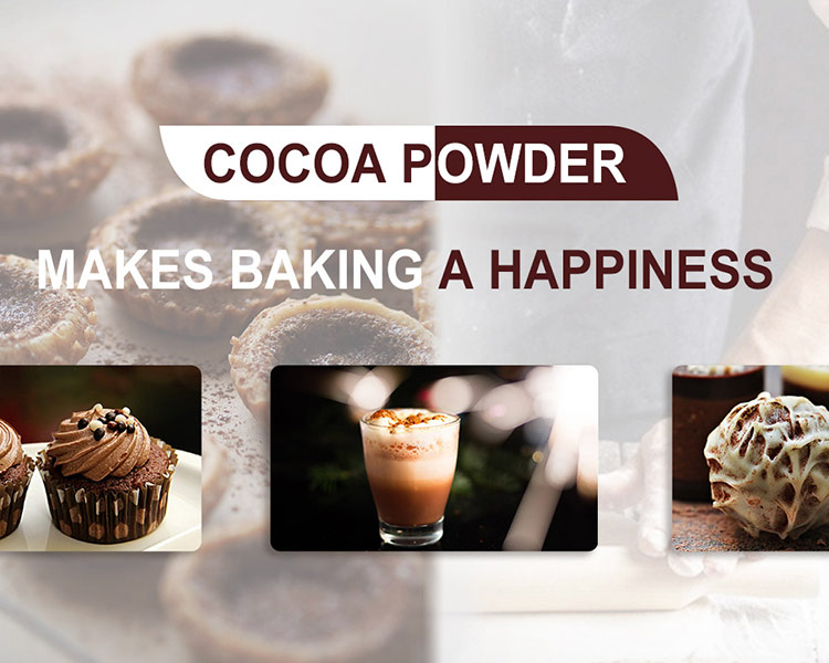 Donewell cocoa powder, cocoa powder, Natural cocoa powder Manufacturer ...